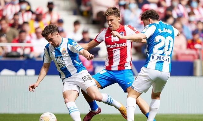 这座新主场 这座新主场