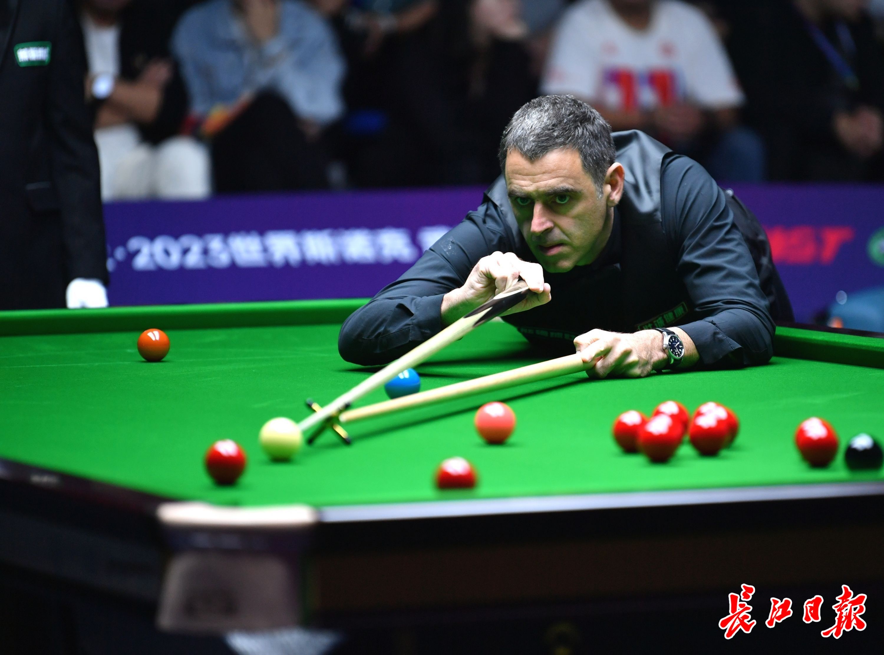 一直致力于 一直致力于